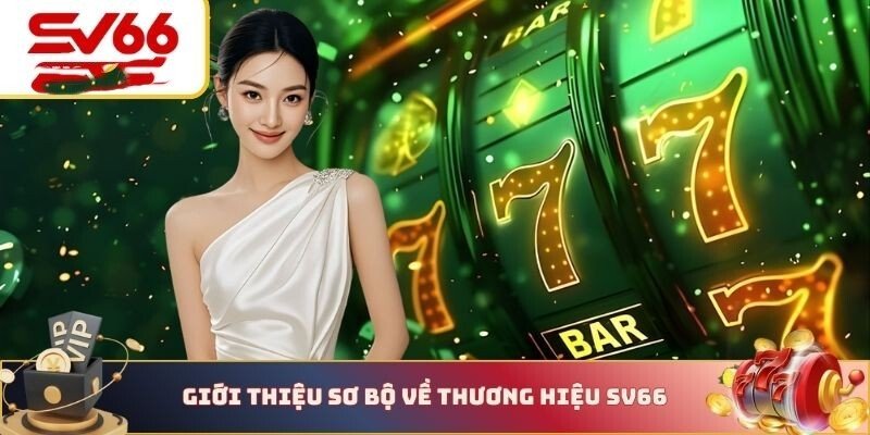 Giới thiệu tổng quan về SV66