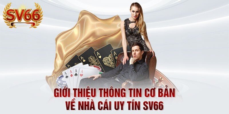 Giới thiệu đánh giá những thông tin cơ bản về SV66